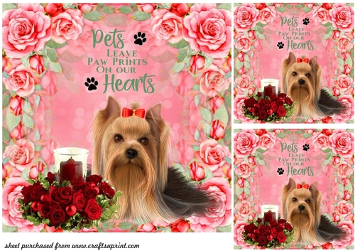 3 Floral Yorkie card front/toppers