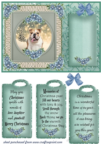 Blue and green Christmas pup card front 2