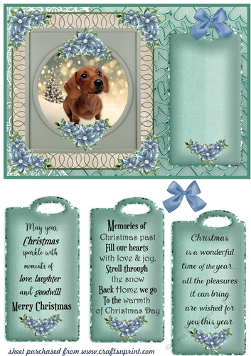 Blue and green Christmas pup card front 4