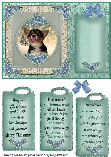 Blue and green Christmas pup card front 6