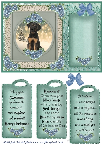 Blue and green Christmas pup card front 9