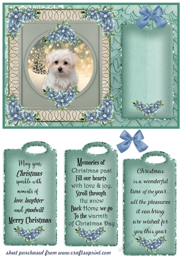 Blue and green Christmas pup card front 16