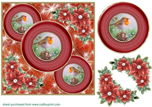 Red Christmas robin card front 2