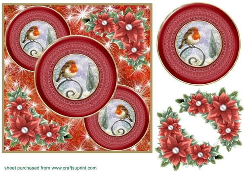 Red Christmas robin card front 3