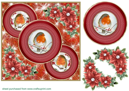 Red Christmas robin card front 5