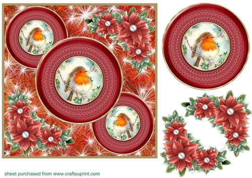 Red Christmas robin card front 6