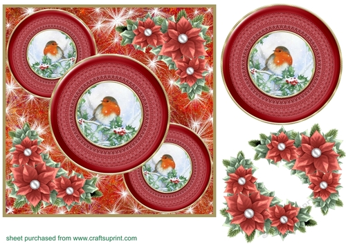 Red Christmas robin card front 7