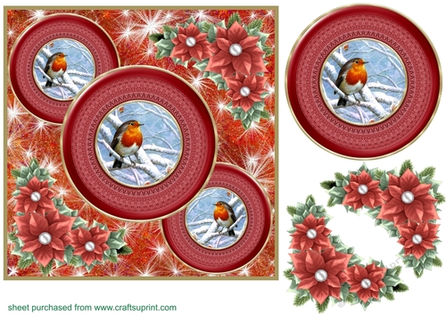 Red Christmas robin card front 8