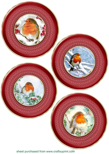 4 Red robin toppers 2