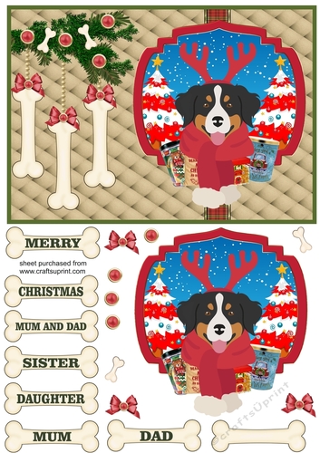 Bernese Christmas card front