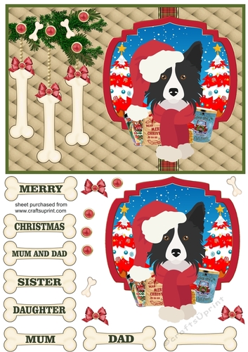 Border collie Christmas card front