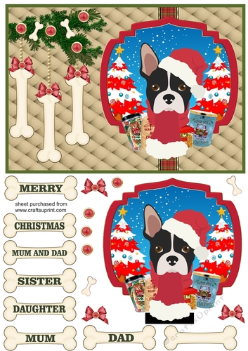 Boston terrier Christmas card front