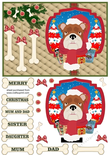 Bull dog Christmas card front