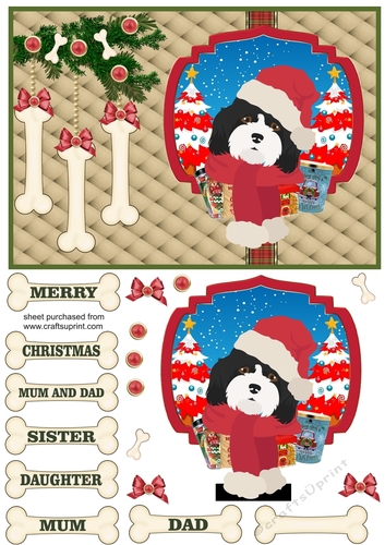 Cavachon Christmas card front