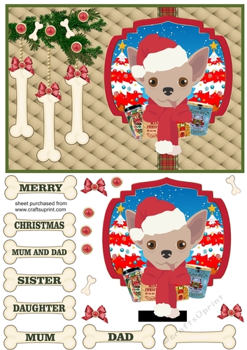 Chihuahua Christmas card front