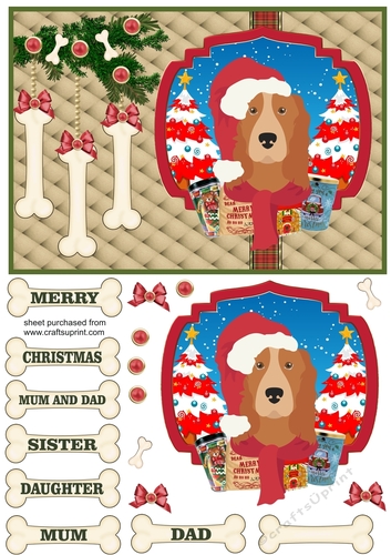 English Cocker Christmas card front