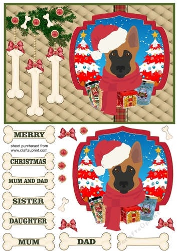 GSD Christmas card front