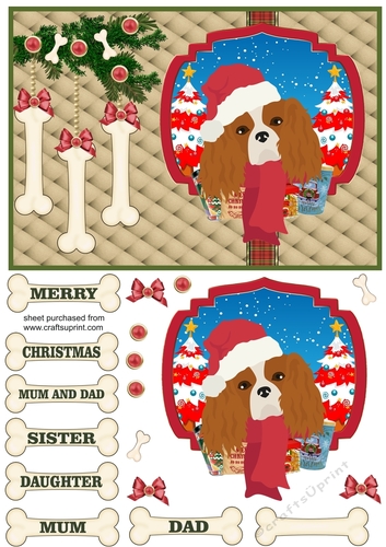 King Charles Christmas card front