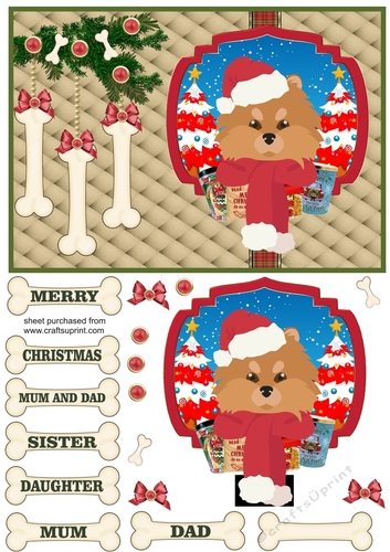 Pomeranian Christmas card front