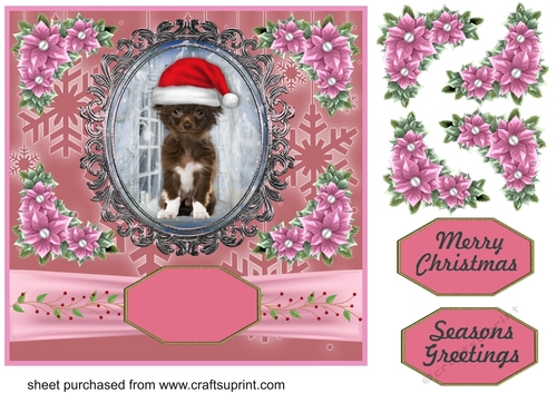 Pink Christmas pup card front 4