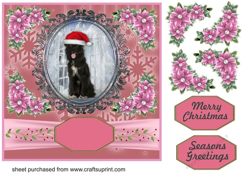 Pink Christmas pup card front 10