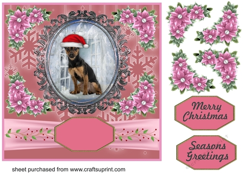 Pink Christmas pup card front 12