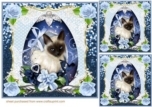 3 Blue cat in floral egg card front/toppers 2