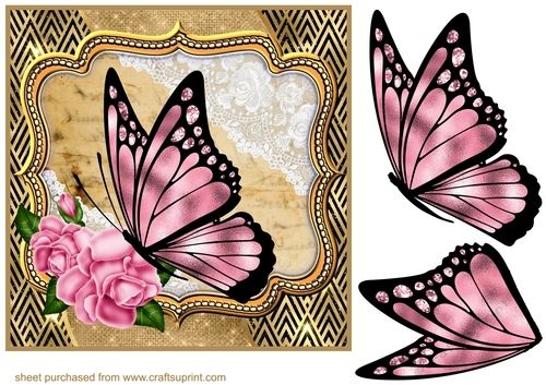 Butterfly with dark pink rose frame card front