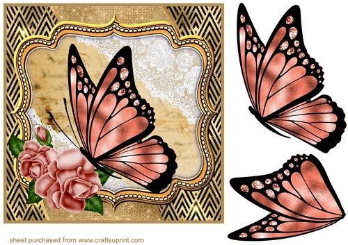 Butterfly with peach rose frame card front