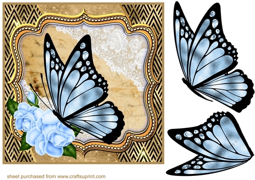 Butterfly with blue rose frame card front
