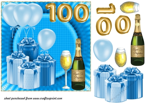 Age 100 Blue Birthday card front