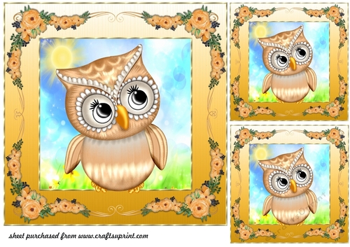 3 Orange floral owl card front/toppers