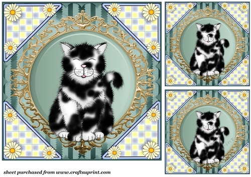 3 Black and white cat card front/toppers