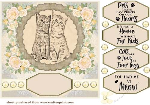 Pencil drawing cat topper card front 5