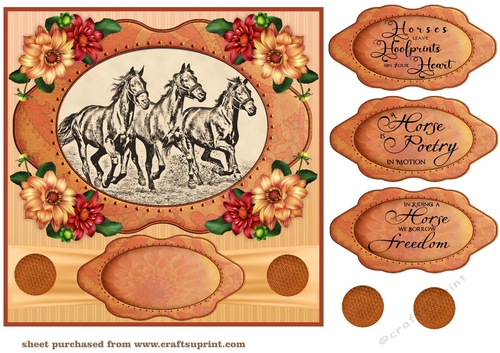 Pencil drawing horse topper card front 8