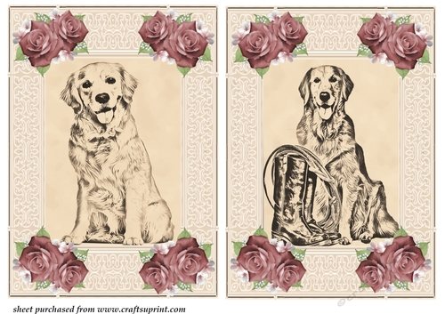 2 Pencil dog drawing card fronts 1