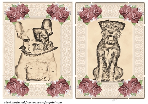 2 Pencil dog drawing card fronts 2