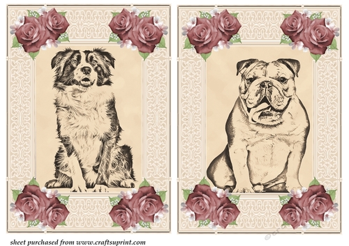 2 Pencil dog drawing card fronts 3
