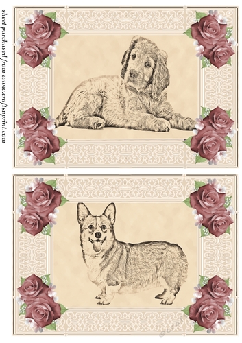 2 Pencil dog drawing card fronts 4
