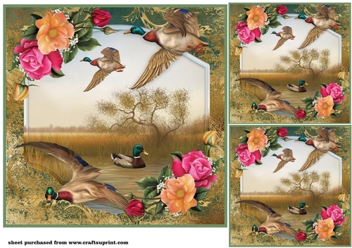 3 Floral duck card front/toppers 1
