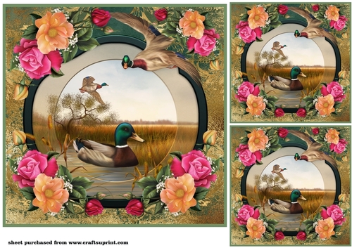 3 Floral duck card front/toppers 2