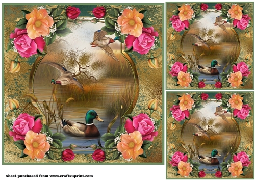 3 Floral duck card front/toppers 3