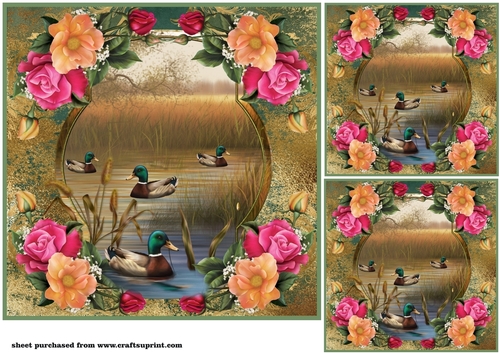 3 Floral duck card front/toppers 4