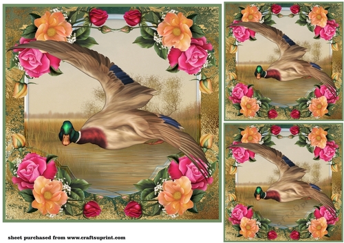 3 Floral duck card front/toppers 5