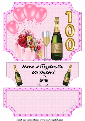Pink age 100 Birthday easel topper and stopper(no base)