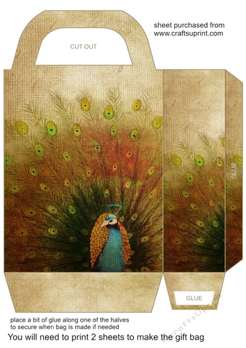 Vintage peacock gift bag 1