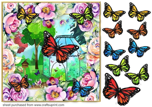 Butterfly house card front