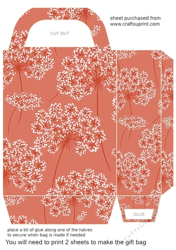Pinks floral gift bag 1