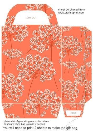 Pinks floral gift bag 2