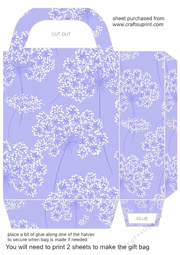 Blues floral gift bag 2